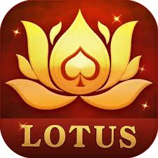 rummy walta download